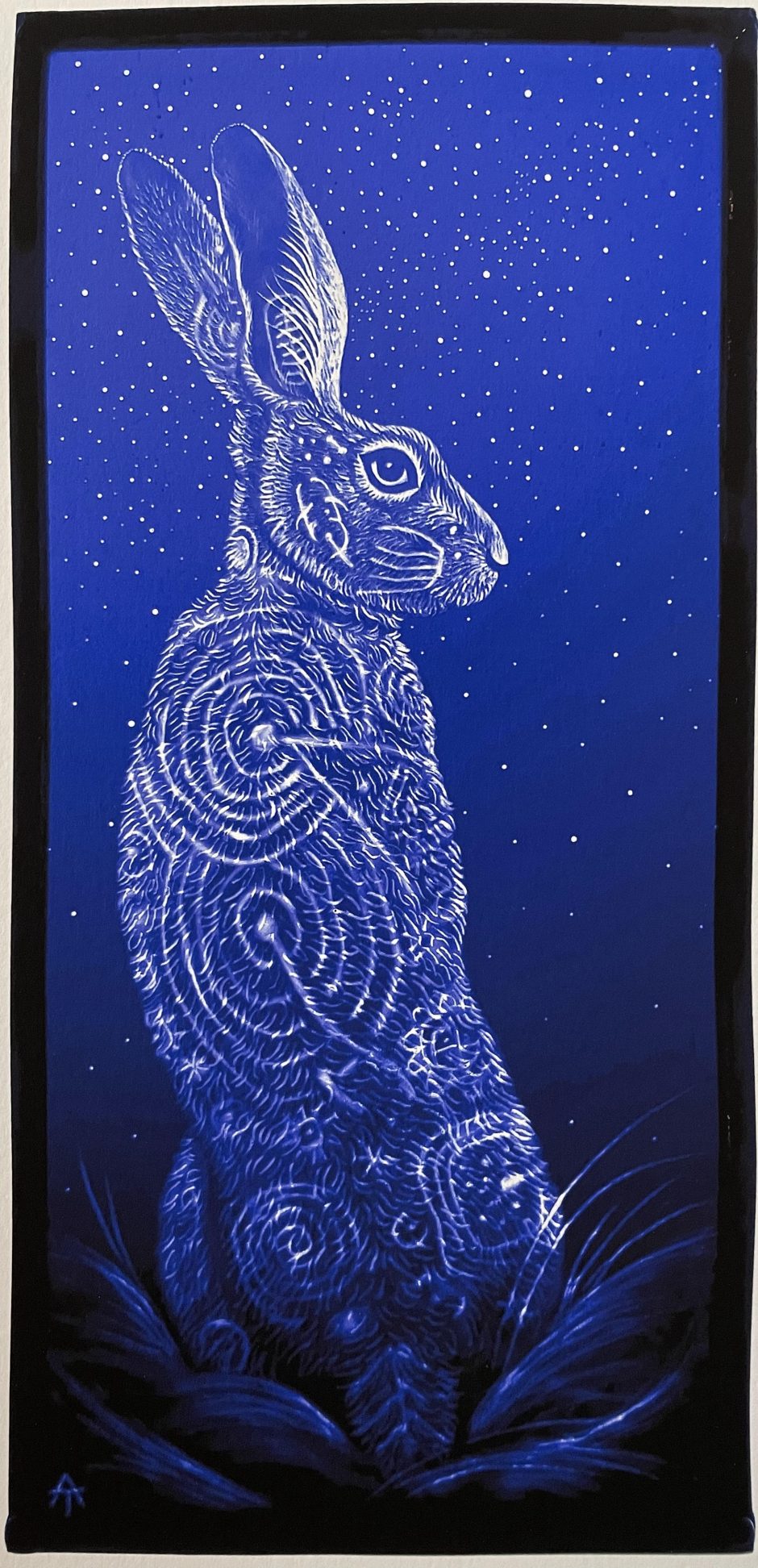 Tamsin Abbott We Are Stardust Hare Print